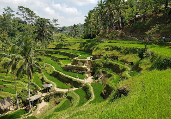 wisata-image
